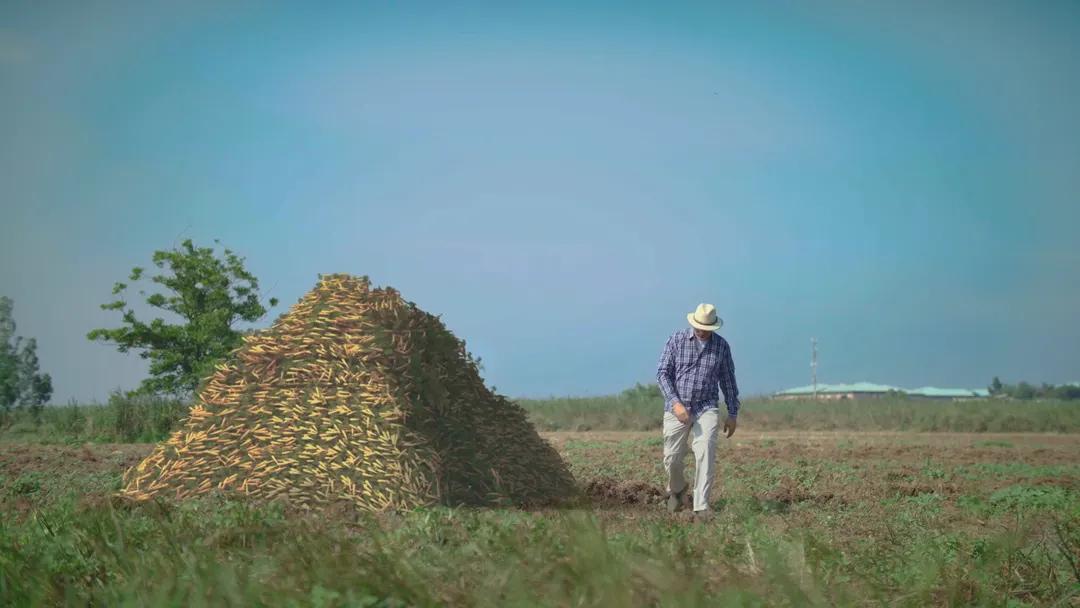 CropX recruitment film